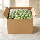 VFF009 – packaging case