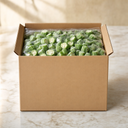 VFF025 – packaging case