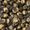 Canned Escargot