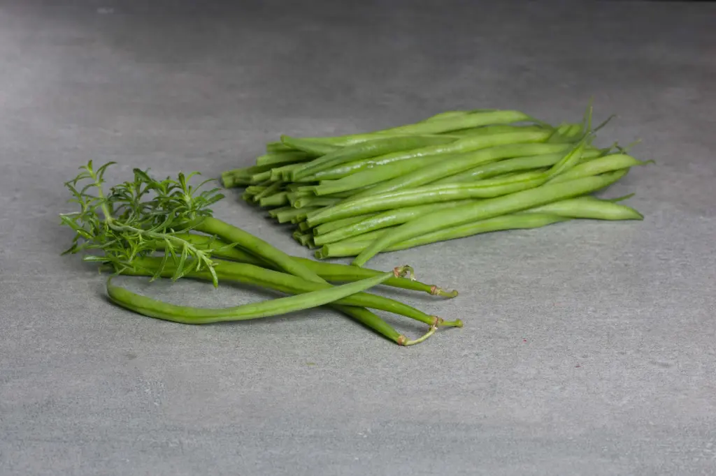 Green Beans, Fine, IQF