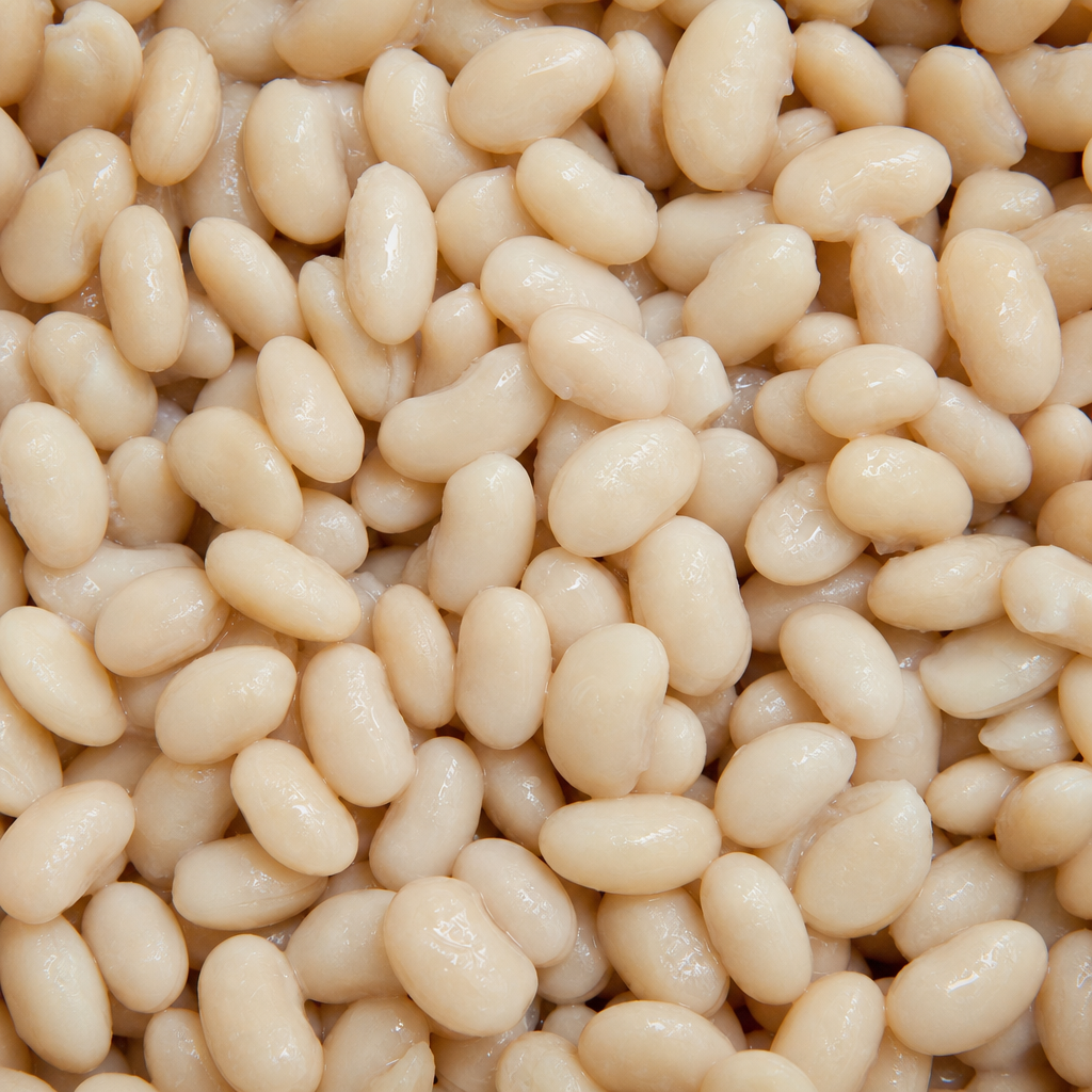 [CFF041-A6XA10] Canned Navy Beans (6 x A10, Annabell's)